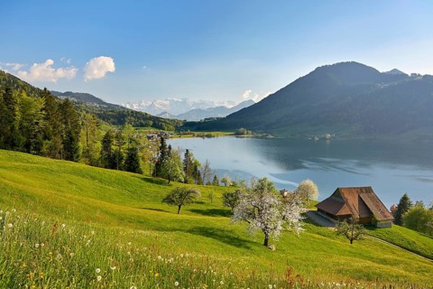 View of Morgarten at Lake Aegeri
