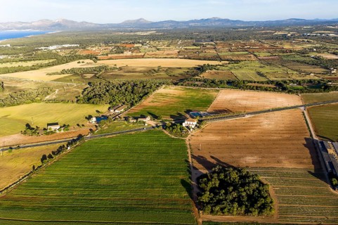 Aerial photos