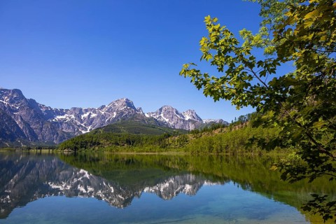 Almsee