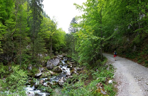 Hike from Rettenbachalm through Rettenbachtal to Blaa Alm