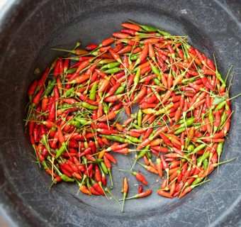 Red and green chili peppers