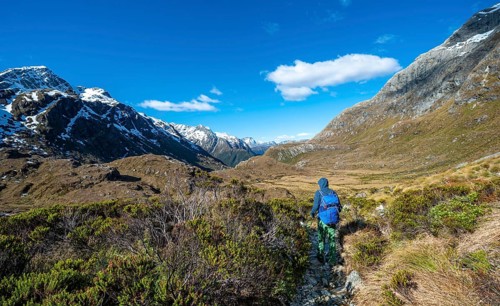 Hiker on the Routeburn Track