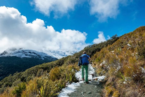 Hiker on trail to Key Summit