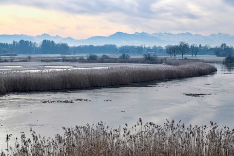 Stille Reuss Nature Reserve
