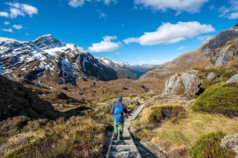 Hiker on the Routeburn Track