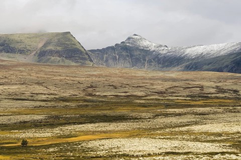 Barren landscape in autumn