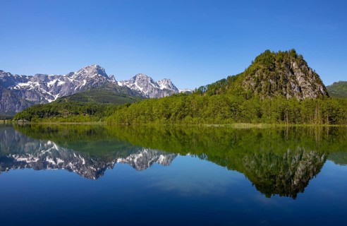 Almsee