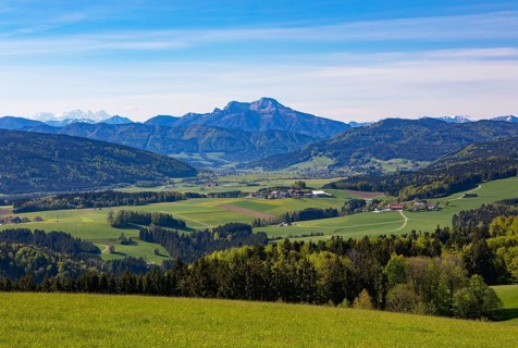 Panoramic view from Lichtenberg