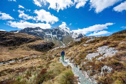 Hikers on the Routeburn Track