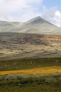 Barren landscape in autumn