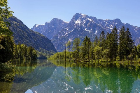 Almsee