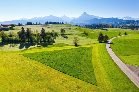 Cultural landscape