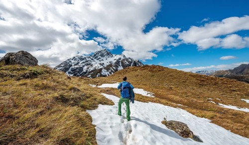 Hikers on the Routeburn Track