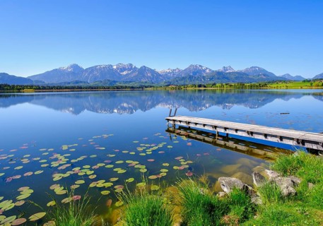 Footbridge in the lake