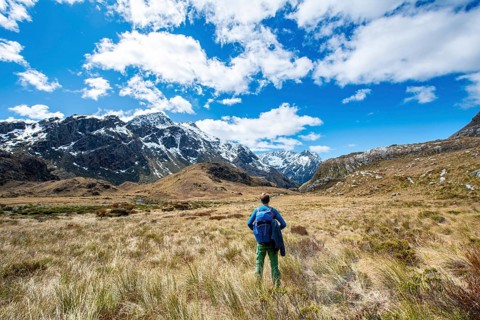 Hikers on the Routeburn Track