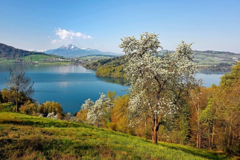 View of Lake Zug and Mount Pilatus