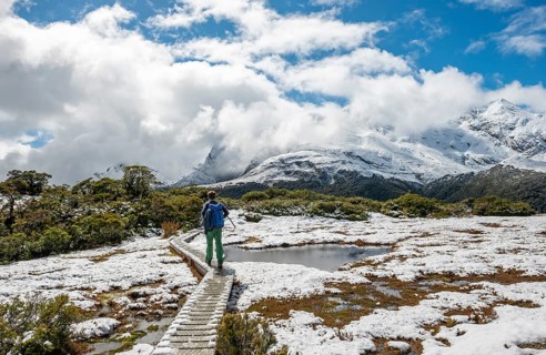 Hiker on Nature Trail