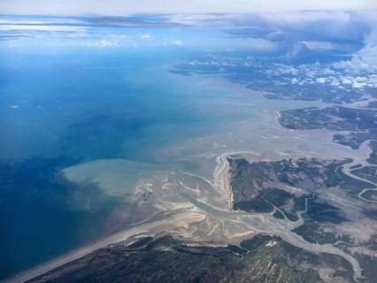River delta