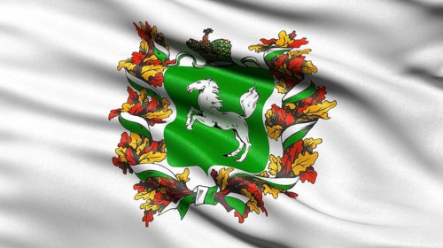 Flag of Tomsk Administrative District