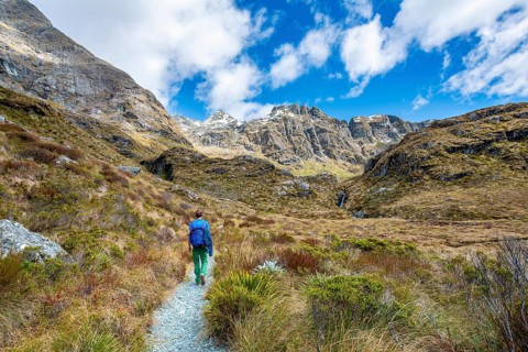 Hikers on the Routeburn Track