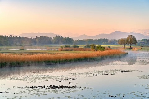 Stille Reuss Nature Reserve