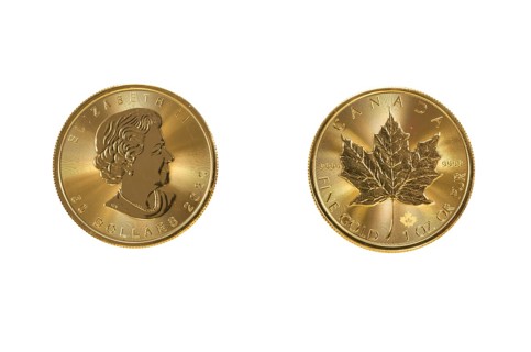 Gold coin