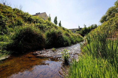 Renaturalised watercourse