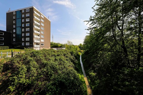 Renaturalised watercourse