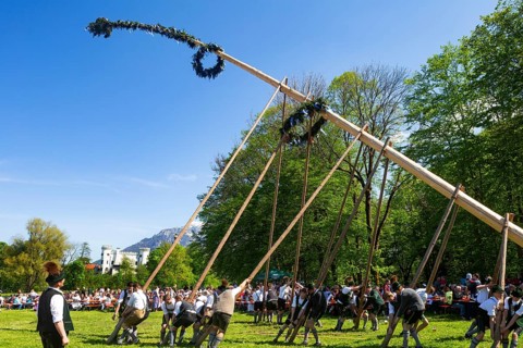 Maypole erection at Marzoll Castle