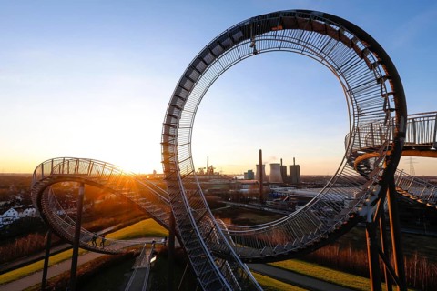 Tiger and Turtle