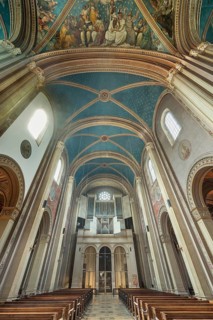Organ gallery
