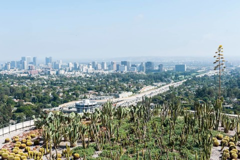 View of cactus garden and downtown from the Getty Center in Brentwood