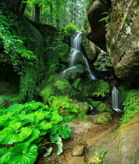 Lichtenhain waterfall in the Kirnitzsch valley