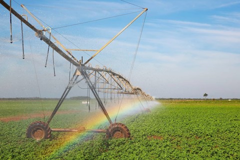 Irrigation system and rainbow