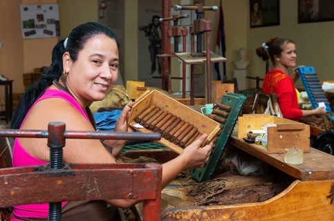 Worker shows cigars