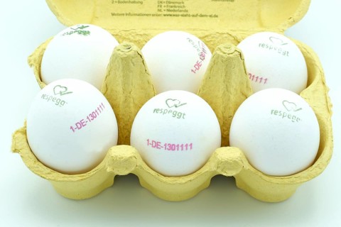 Egg-box of white free-range eggs marked respeggt