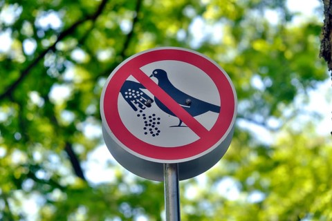 Prohibition sign