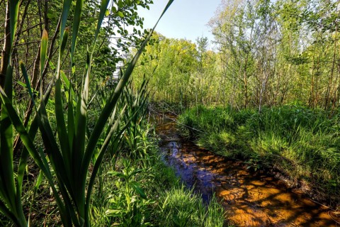 Renaturalised watercourse