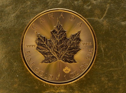 Gold coin
