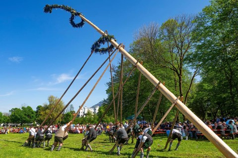 Maypole erection at Marzoll Castle