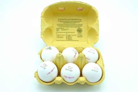 Egg-box of white free-range eggs marked respeggt