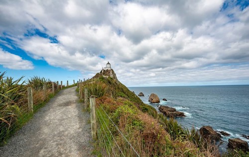 Way to the lighthouse at Nugget Point