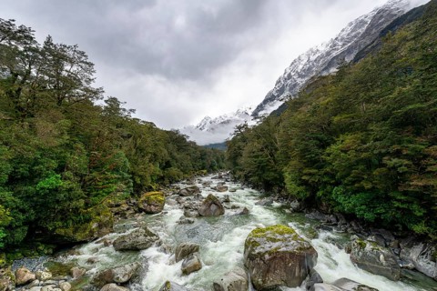 Hollyford river with snowy mountains