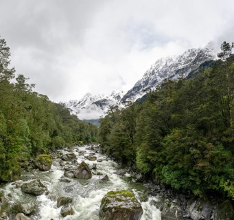 Hollyford river with snowy mountains