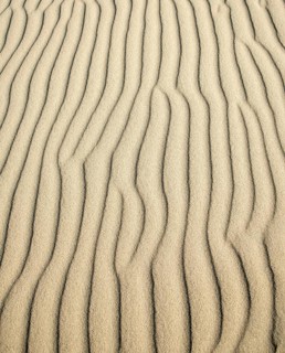 Wave patterns in light sand