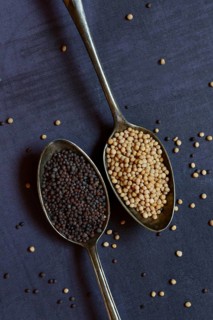 White and black mustard seeds in spoon