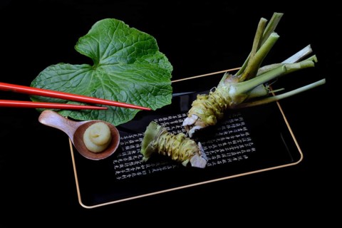 Wasabi root and wasabi paste on tray with chopsticks