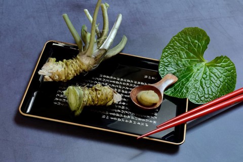 Wasabi