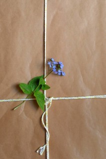 Forget-me-not