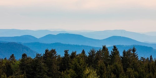 View from Schliffkopf